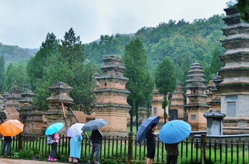 Pagoda-Forest